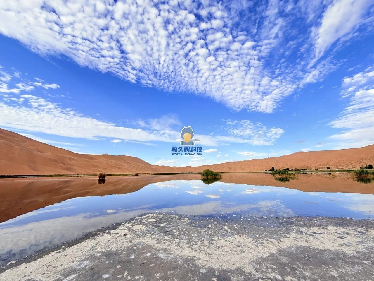 Çölün Kalbine Yolculuk Çölün Kalbine Yolculuk