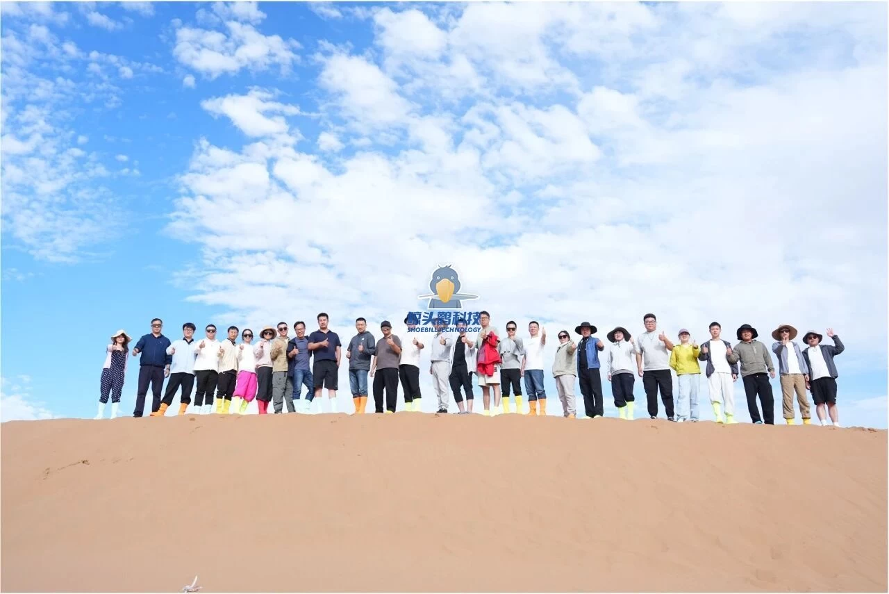 Shoebill Teknolojisi Shoebill Teknolojisi